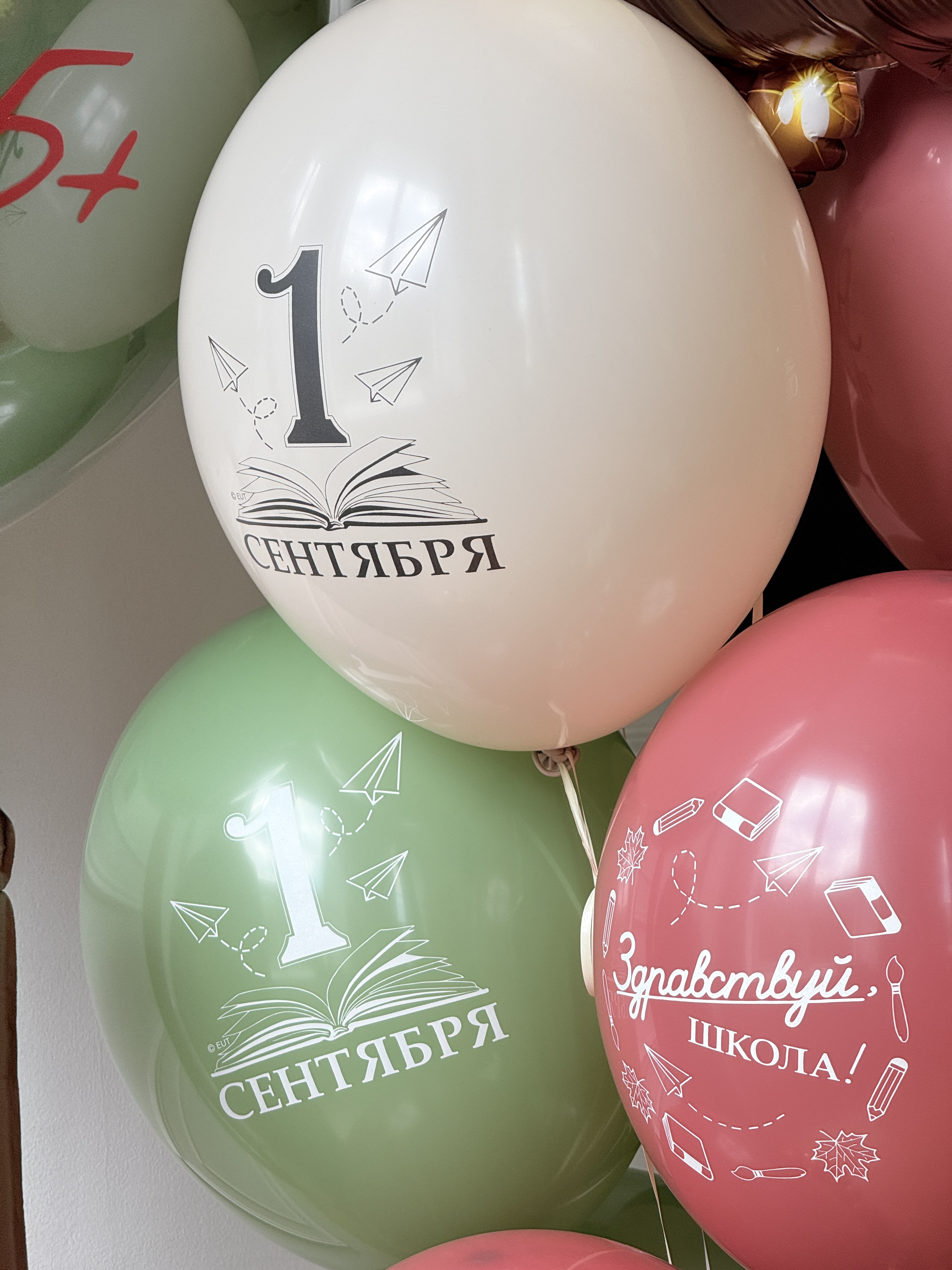 Купить Сет шаров к 1 сентября "За знаниями!" с доставкой в Казани