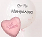 Купить Шар на девичник с фамилией с доставкой в Казани